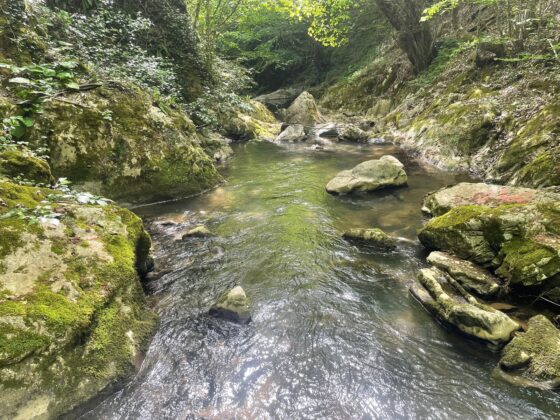 Bursa’nın gizli hazinesi