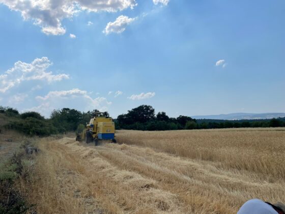 Büyükşehir’den kırsala destek!