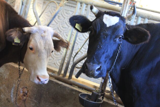 TARPOL’un “şap raporu”na tepki!