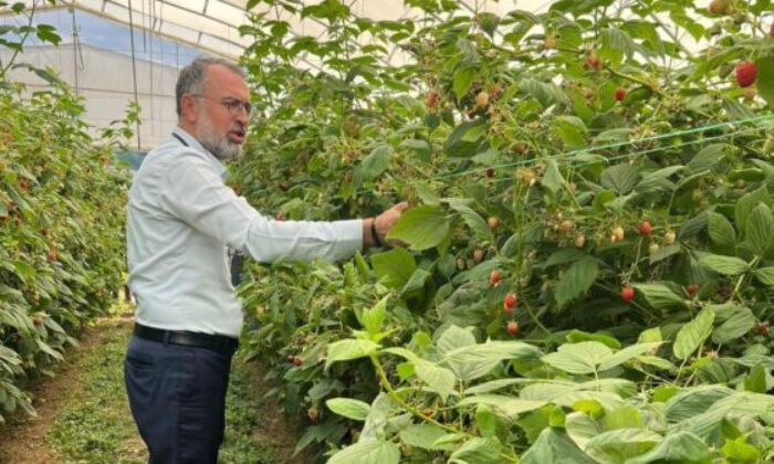 Uludağ’dan Sırbistan’a ahududu üretiminde ortaklık