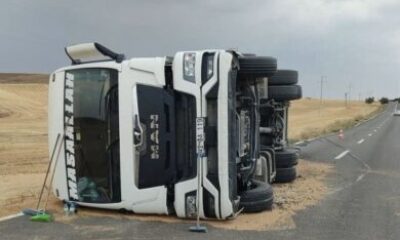 Buğday yüklü kamyon devrildi