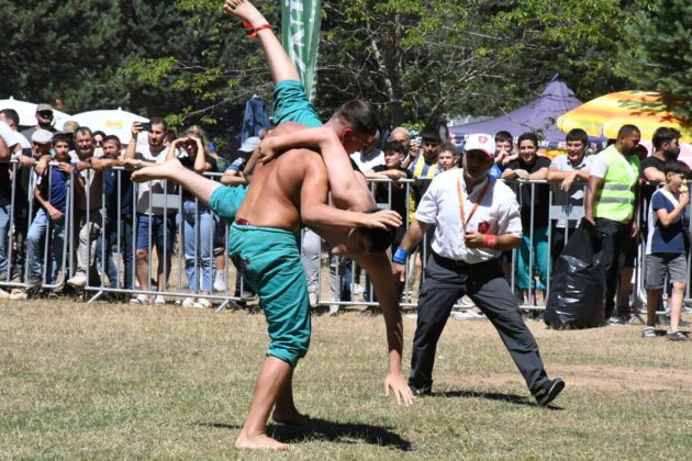 Alıç Yaylası’nda kıran kırana mücadele