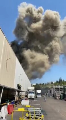 Bursa’da fabrika yangını!