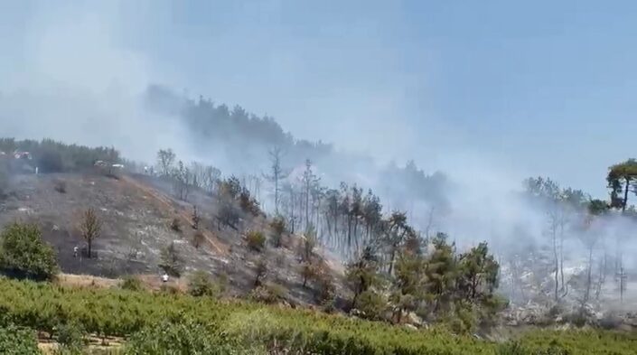İznik’te çıkan orman yangınına hızlı müdahale!