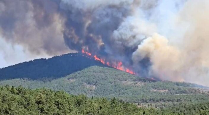 Harmancık’ta yangın yeniden başladı!