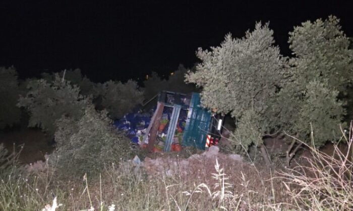 Biber yüklü kamyon zeytinliğe uçtu