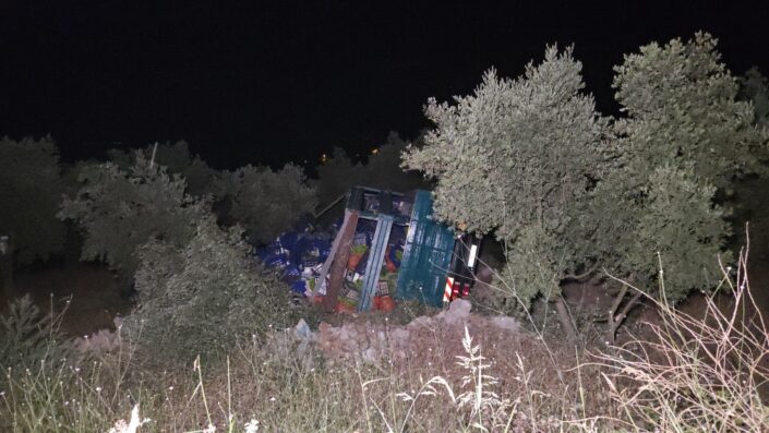 Biber yüklü kamyon zeytinliğe uçtu