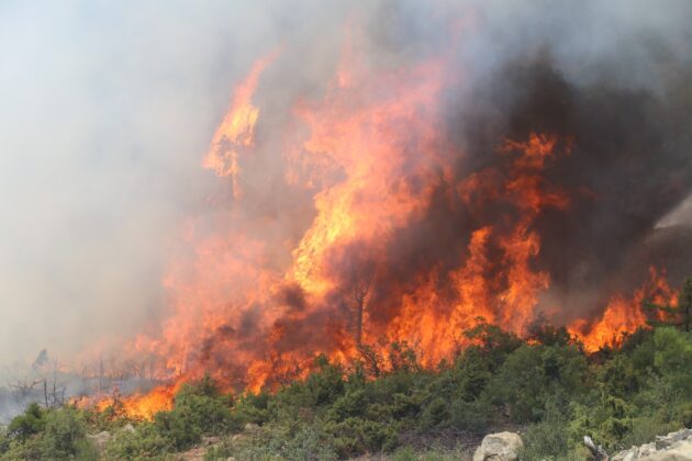 Bursa’da alevler yeniden yükseldi!