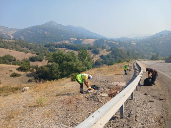 Bursa’da Büyükşehir’den yangın bölgelerinde çevre temizliği