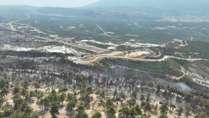 Gürsu’daki yangından geriye bu acı görüntüler kaldı…