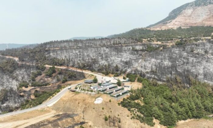 Gürsu Belediye Başkanı’ndan ağaçlandırma seferberliği açıklaması