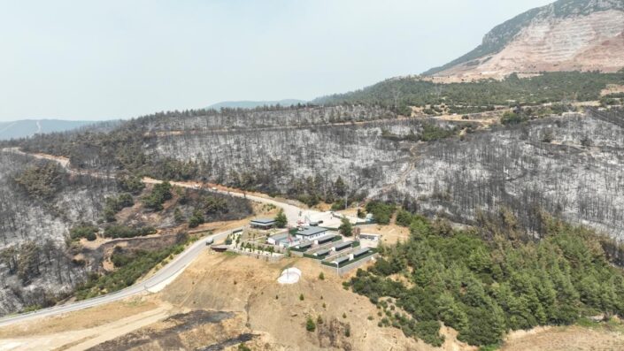 Gürsu Belediye Başkanı’ndan ağaçlandırma seferberliği açıklaması