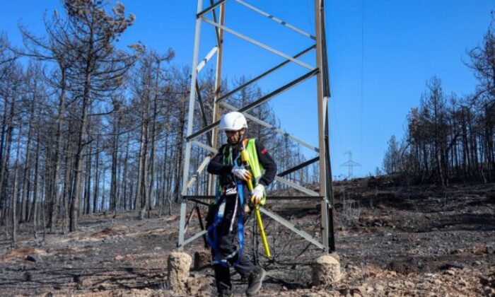 Bursa’daki yangın bölgesinde enerji hatlarının onarımı başladı