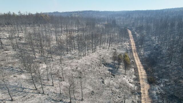 Buca’daki yangının tahribatı böyle görüntülendi