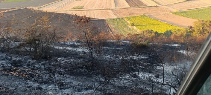 Karacabey’de kritik müdahale!