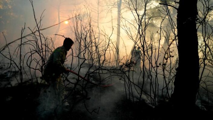 İzmir’deki yangın sürüyor! Elektrik mi yaktı?