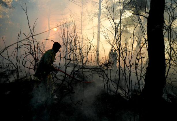 Alevlerle mücadele sürüyor