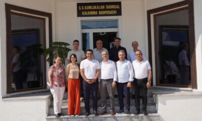 Gürsu’da yeşil dönüşüm