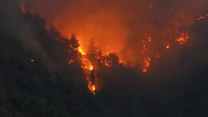Sakarya-Bilecik orman yangınında son durum