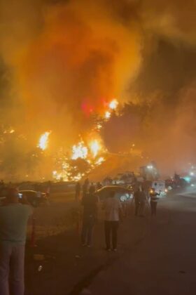 Hayvanların tahliyesi için seferber oldular