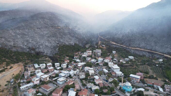 Bursa ormanları alarm veriyor!