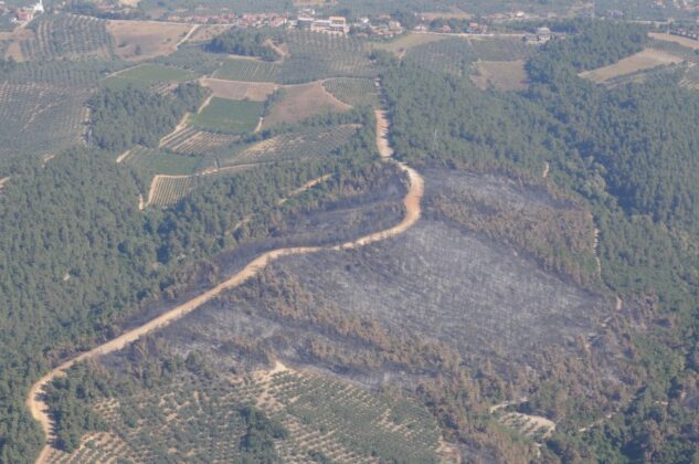 Bursa’da yanan alanlar hızla yeşillendirilecek