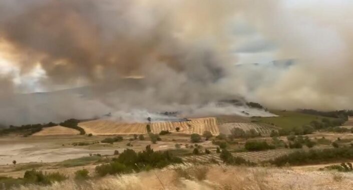 Yenişehir’de orman yangını!