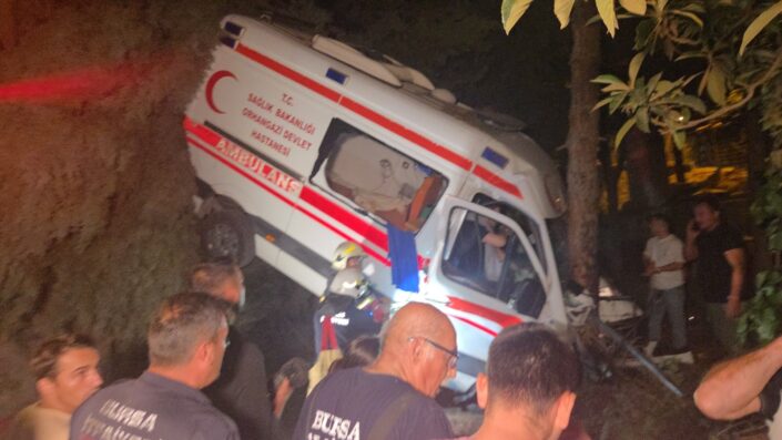 Kontrolden çıkan ambulans bahçeye uçtu
