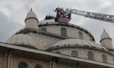 Cami kubbesinde mahsur kalan leyleği itfaiye kurtardı