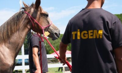 TİGEM bu yıl 500 milyon lira gelir bekliyor