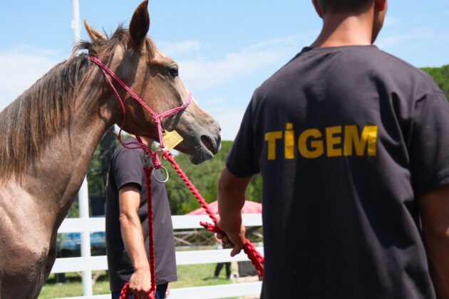 TİGEM bu yıl 500 milyon lira gelir bekliyor