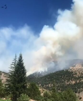 Kahramanmaraş’ta orman yangını çıktı!