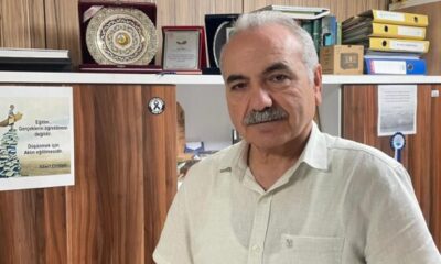 Bursa’da orman yangınlarının bedeli ağır