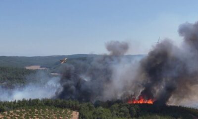 Çanakkale’de alevler yeniden yükseldi!