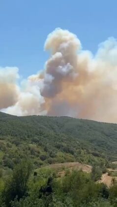 İznik’te orman yangını!