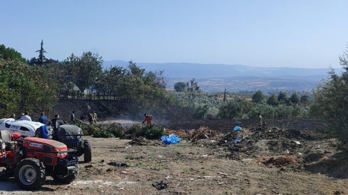Mudanya’da çöplük yangını