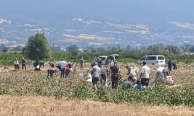 Tarlasındaki ürünleri ücretsiz dağıttı