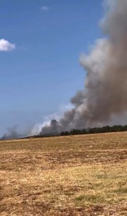 Bursa’da orman yangını!