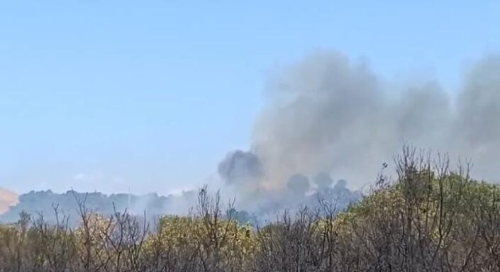 Bursa’daki orman yangını kontrol altına alındı