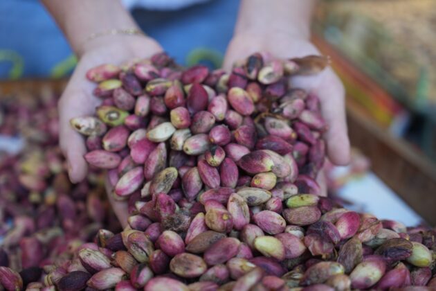 Antep fıstığında rekor fiyat!