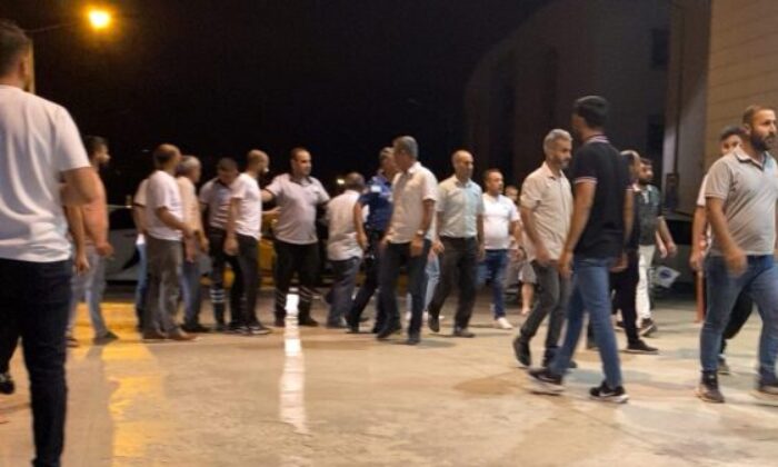 Tarlada patates kavgası