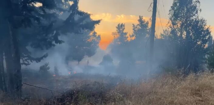 Bursa’da korkutan yangın!