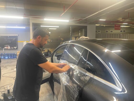 Kuş pisliğinden bıkanlar çareyi “poliüretan” kaplamada buldu