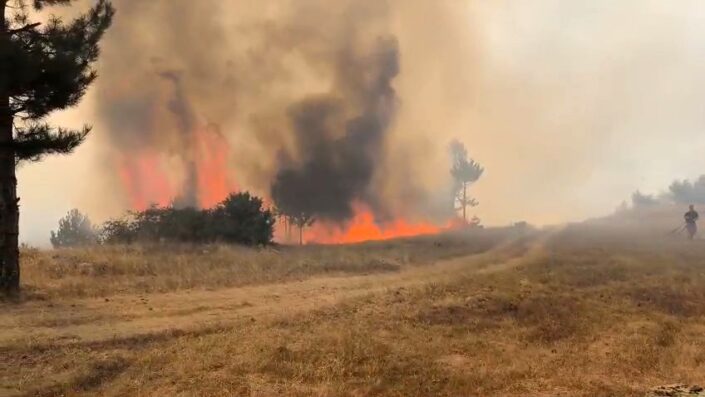 Bursa’da orman yangını!