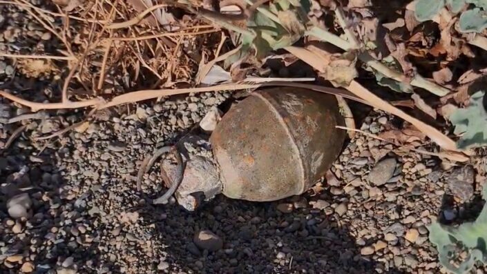 Bursa’da el bombası paniği!