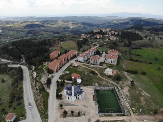 ‘Yavru ayı’ uyarısı