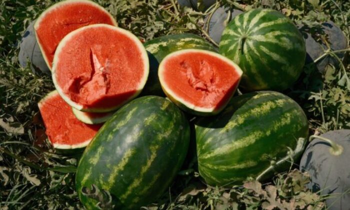 Tarlada 30 kuruş, merkezde 30 katı!