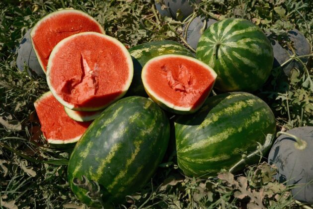 Tarlada 30 kuruş, merkezde 30 katı!