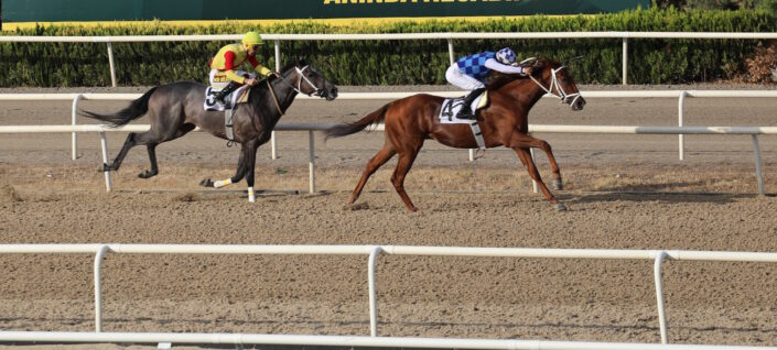 Bursa’da Büyükşehir Başkanlık koşusu düzenlendi