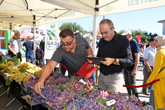 Üzüm festivalinde lezzet yarışı